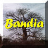 retour Bandia